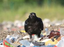 bezstresowa siesta.jpg